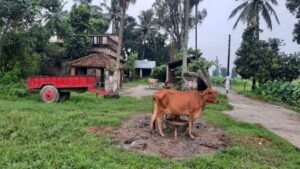 जमीन बिक्री है क्या